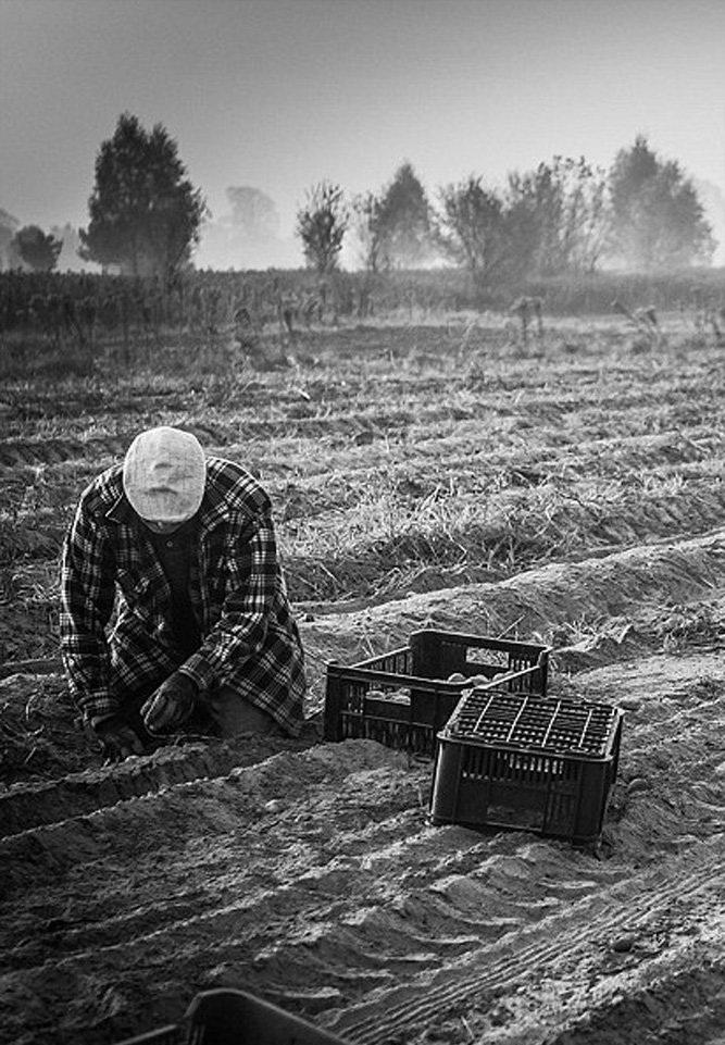 تصاویر : جهان رو به فقر و گرسنگی
