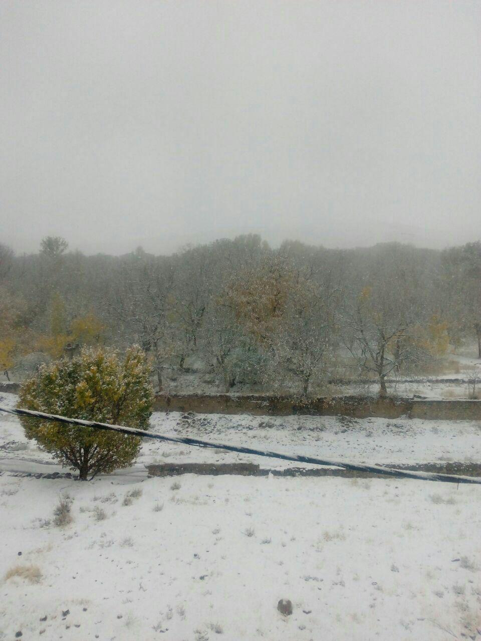 بارش برف در مناطق شمال غرب کشور/عکس