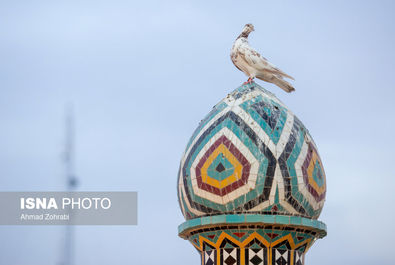 حرم حضرت معصومه