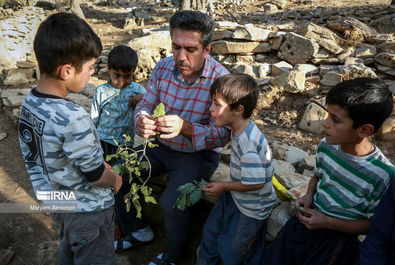 مدرسه عشایری