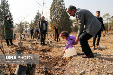 62824994_Negin-Hemmatzadeh-54