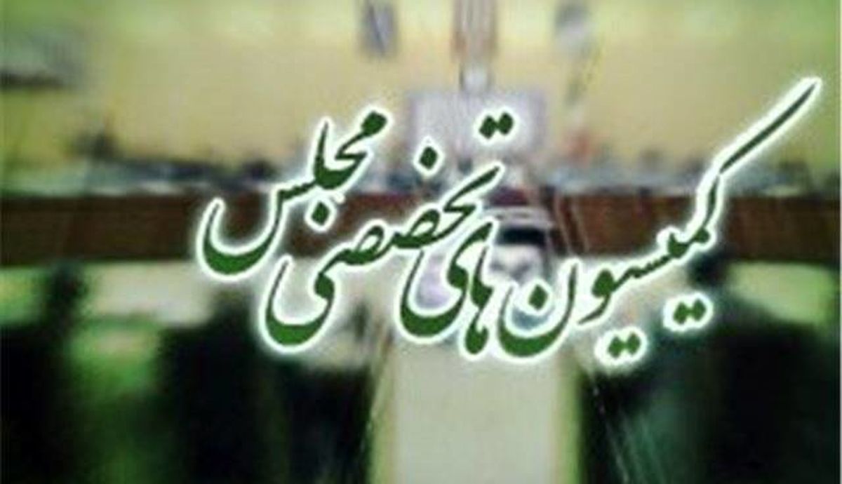 بررسی ابعاد حوادث اخیر کشور در دستور کار کمیسیونهای تخصصی مجلس
