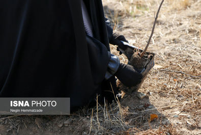 62824981_Negin-Hemmatzadeh-56