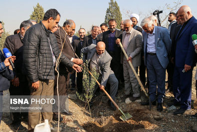 62824989_Negin-Hemmatzadeh-59