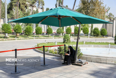 حاشیه جلسه هیئت دولت