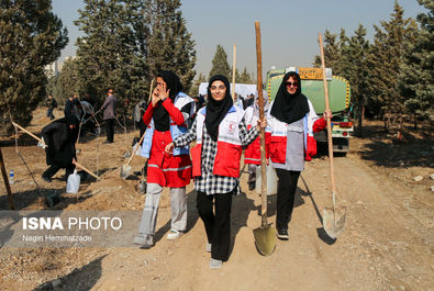 62824986_Negin-Hemmatzadeh-48